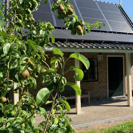 Tunhuske Jelsum Vila Exterior foto